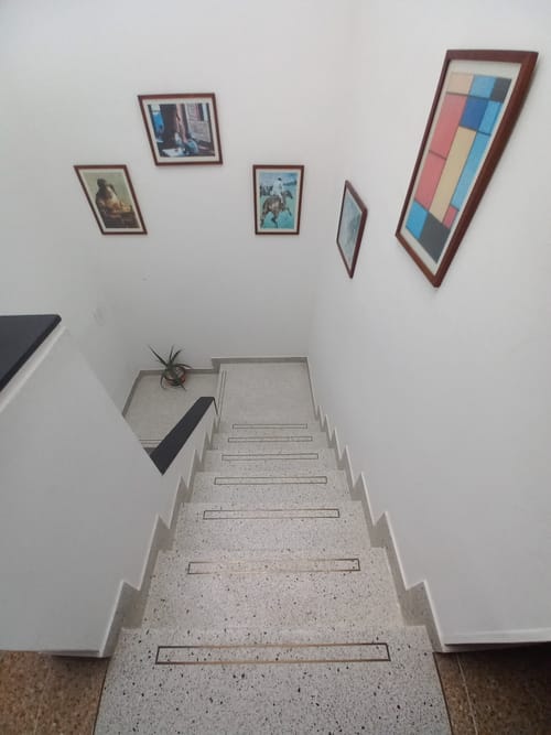 Casa de 15 alcobas en venta en Santa Helena, Ibagué, 280 m² · foto 8 de 20