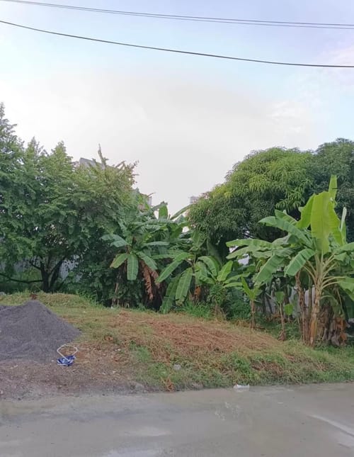 Lote en venta en Ranchos Del Inat, Montería, 180 m² · foto 2 de 4