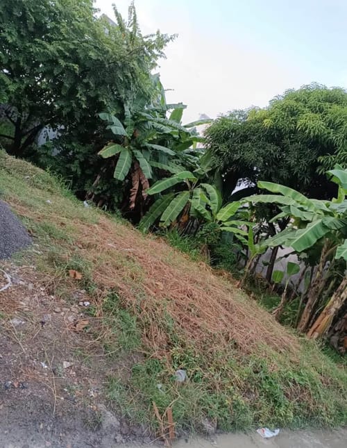 Lote en venta en Ranchos Del Inat, Montería, 180 m² · foto 3 de 4