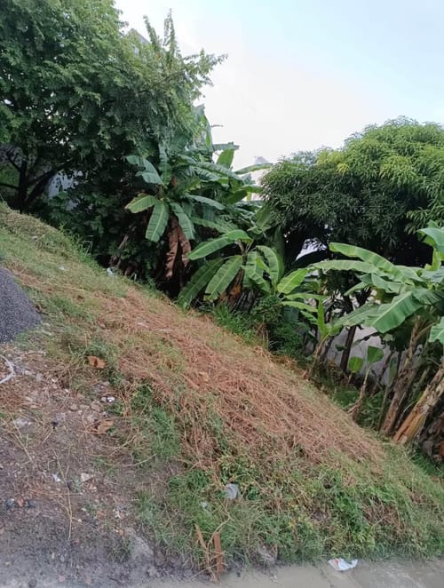 Lote en venta en Ranchos Del Inat, Montería, 180 m² · foto 4 de 4