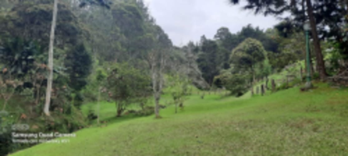 Finca en venta en Pantanillo, El Retiro, 370 m² · foto 3 de 10