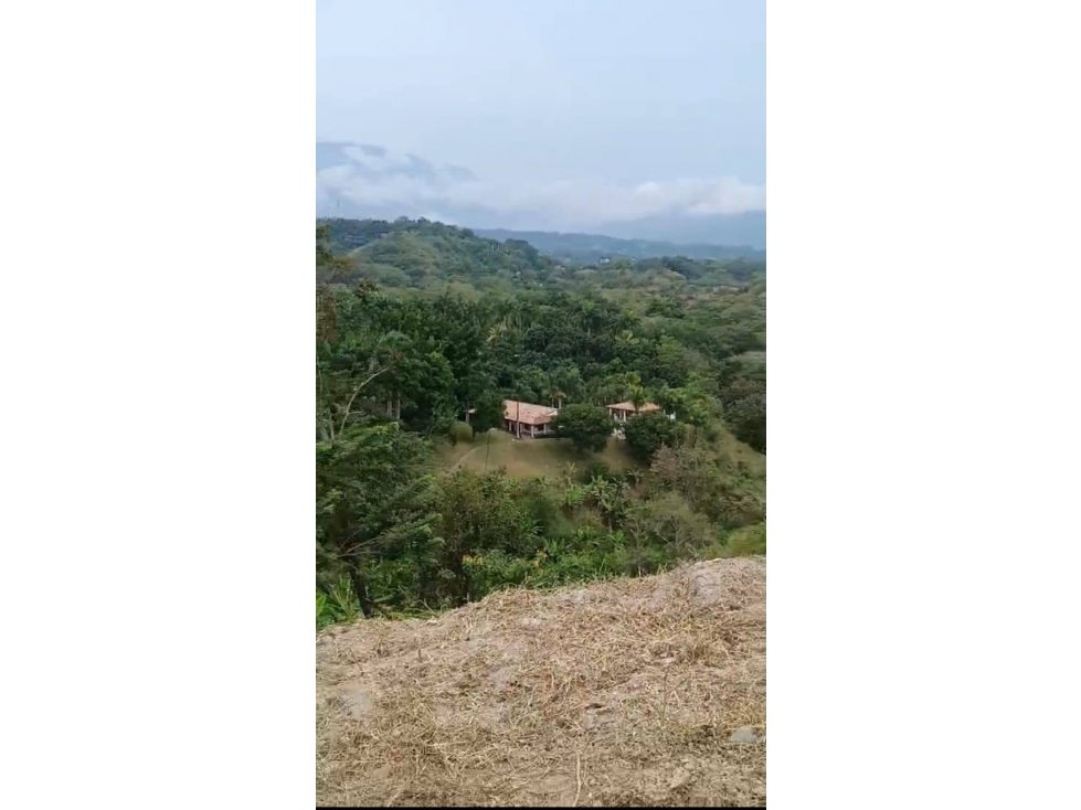 Imagem 2 do imóvel anunciado em Sopetran