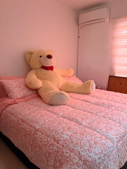 Apartamento en venta en Caney, Cali · foto 8 de 10