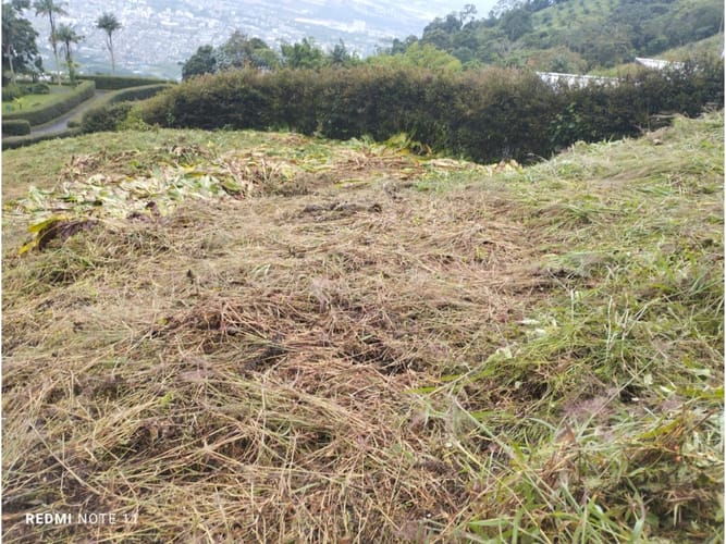 Lote en venta en Romelia Alta, Pereira, 4000 m² · foto 3 de 10