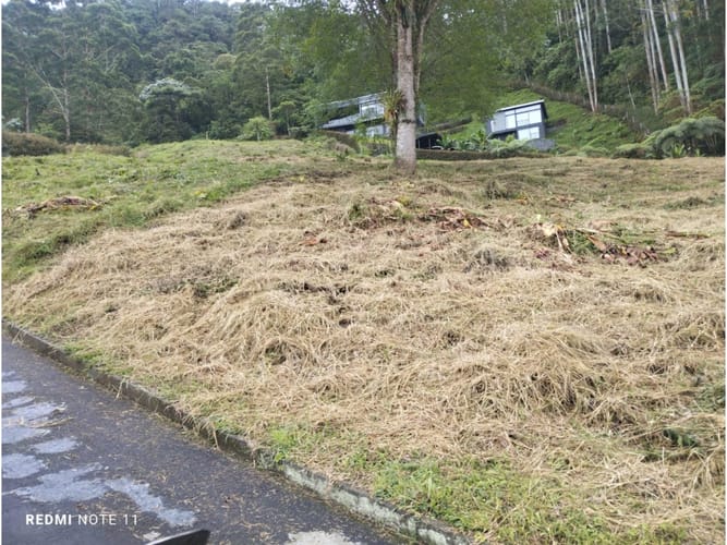 Lote en venta en Romelia Alta, Pereira, 4000 m² · foto 4 de 10