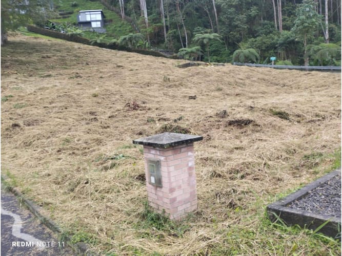 Lote en venta en Romelia Alta, Pereira, 4000 m² · foto 5 de 10