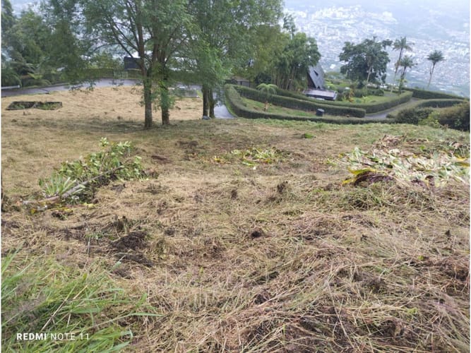 Lote en venta en Romelia Alta, Pereira, 4000 m² · foto 9 de 10