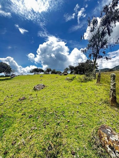 Lote en venta en San Jose De La Concepcion, La Calera, 7 m² · foto 15 de 20