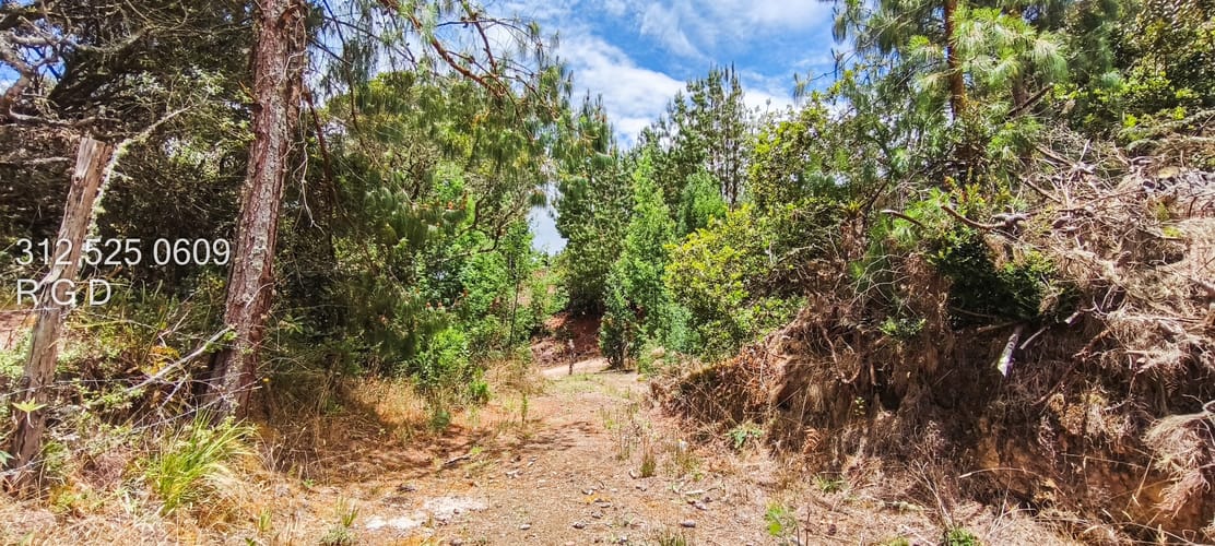 Lote en venta en San Gabriel, Sopó, 35188 m² · foto 9 de 11