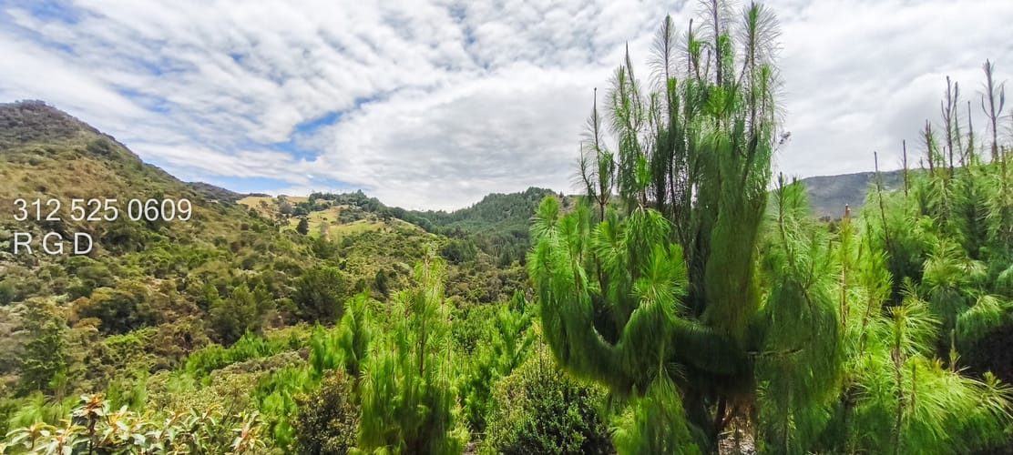 Lote en venta en San Gabriel, Sopó, 35188 m² · foto 4 de 11