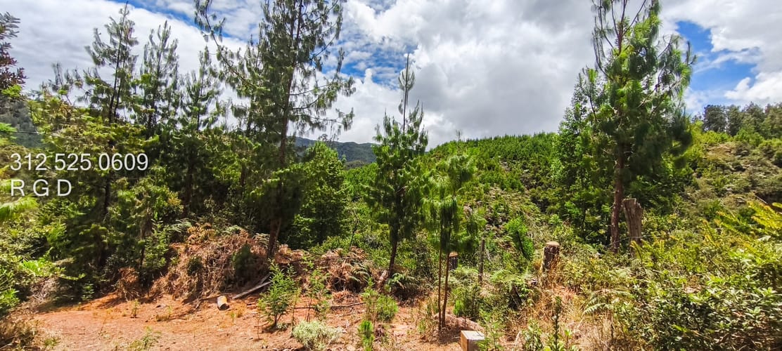 Lote en venta en San Gabriel, Sopó, 35188 m² · foto 7 de 11