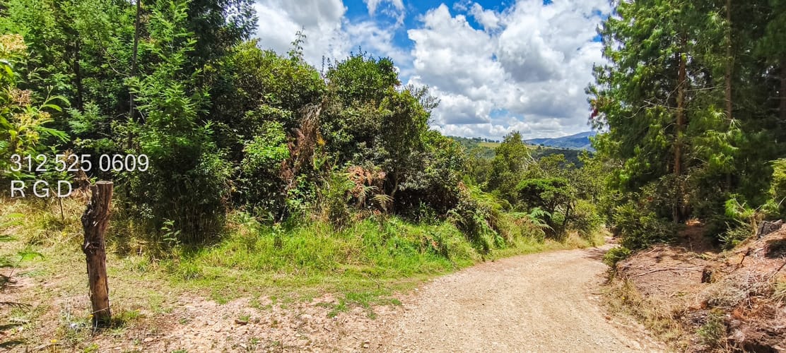 Lote en venta en San Gabriel, Sopó, 35188 m² · foto 10 de 11
