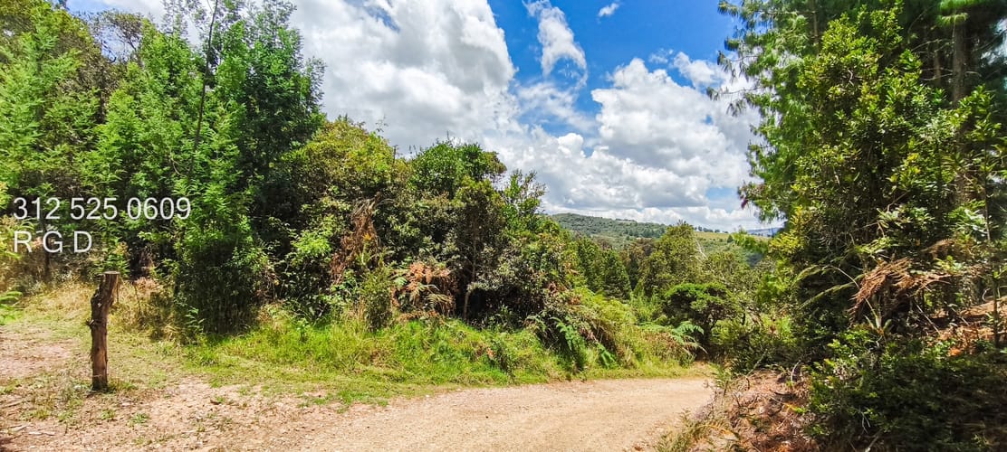 Lote en venta en San Gabriel, Sopó, 35188 m² · foto 11 de 11