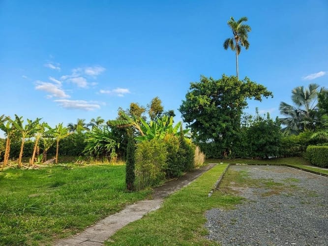 Lote en venta en Combia Baja, Pereira, 1535 m² · foto 4 de 5