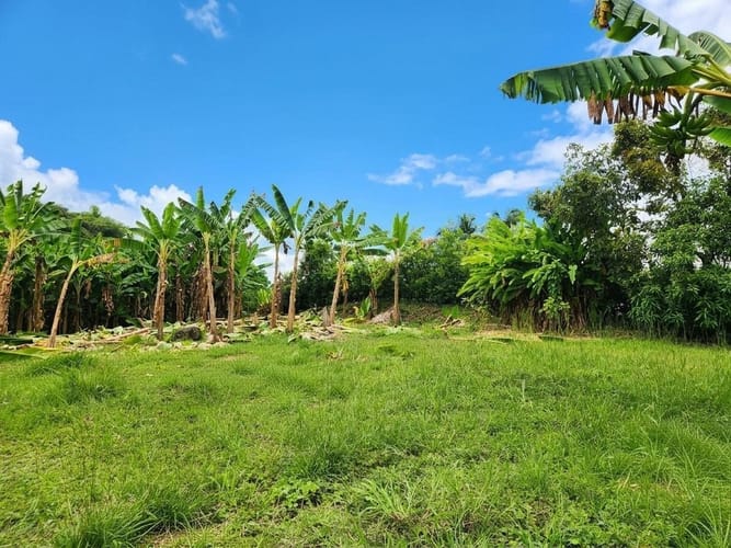 Lote en venta en Combia Baja, Pereira, 1535 m² · foto 3 de 5