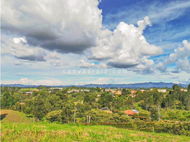 Lote en venta en Sajonia, Rionegro, 3650 m² · foto 4 de 7