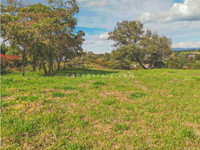 Lote en venta en Sajonia, Rionegro, 3650 m² · foto 5 de 7