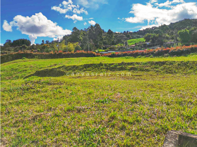 Lote en venta en Sajonia, Rionegro, 3650 m² · foto 7 de 7
