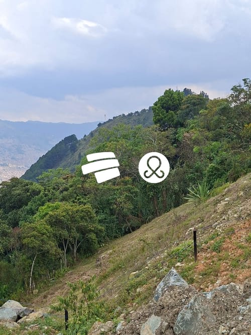 Lote en venta en Jalisco, Bello, 2100 m² · foto 2 de 8