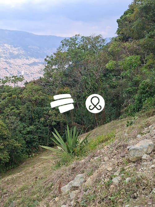 Lote en venta en Jalisco, Bello, 2100 m² · foto 4 de 8