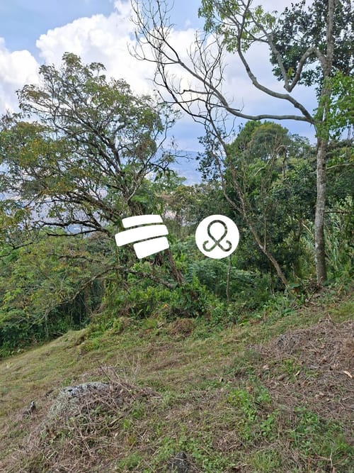 Lote en venta en Jalisco, Bello, 2100 m² · foto 5 de 8