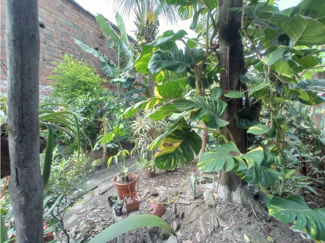 Casa de 3 alcobas en venta en El Sembrador, Palmira, 275 m² · foto 24 de 24