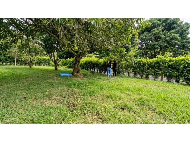 Lote en venta en Caluce - Plan De Vivienda Los Guayabos, Palmira, 107 m² · foto 5 de 9