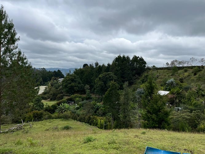 Finca en arriendo en San Jose, Guarne, 250 m² · foto 11 de 24