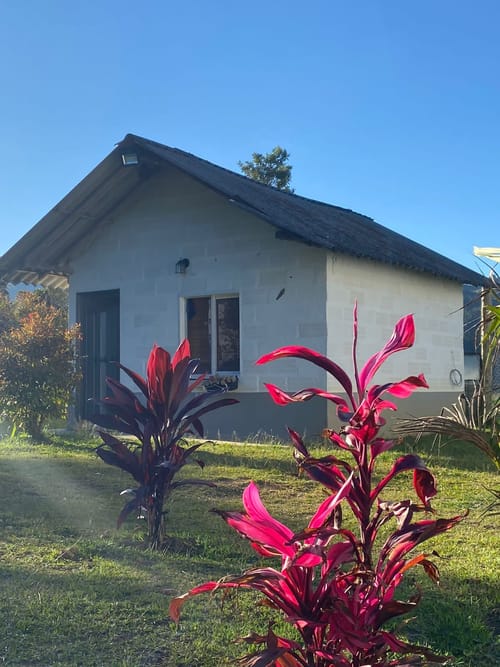 Finca en arriendo en San Jose, Guarne, 250 m² · foto 16 de 24