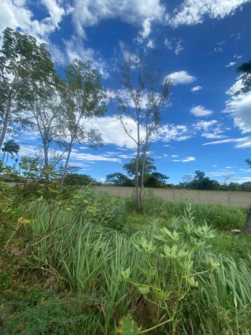 Lote en venta en Bocono, Villa del Rosario, 312 m² · foto 2 de 14