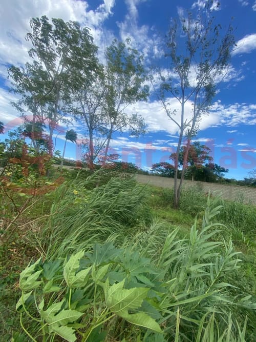 Lote en venta en Bocono, Villa del Rosario, 312 m² · foto 3 de 14
