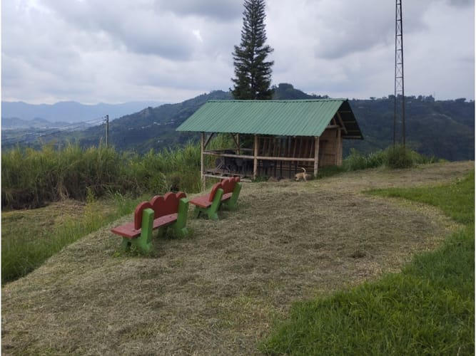 Finca en venta en Tribunas Corcega, Pereira, 44800 m² · foto 9 de 24