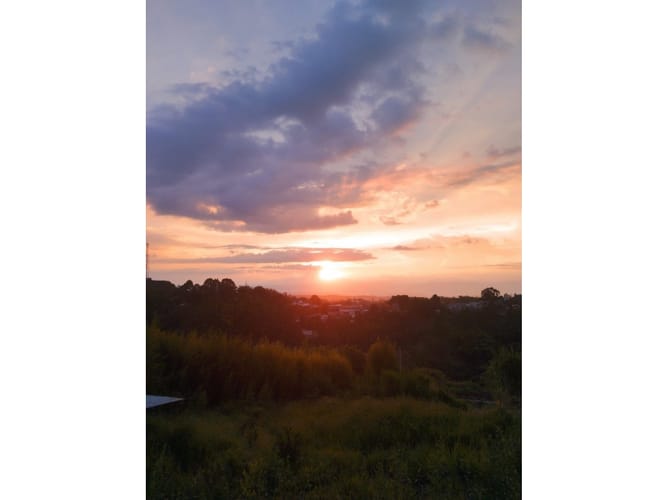 Finca en venta en Tribunas Corcega, Pereira, 44800 m² · foto 10 de 24