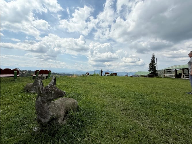 Finca en venta en Tribunas Corcega, Pereira, 44800 m² · foto 12 de 24