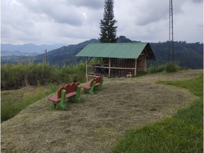 Finca en venta en Tribunas Corcega, Pereira, 44800 m² · foto 19 de 24