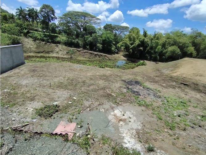Lote en venta en Combia, Pereira, 1130 m² · foto 6 de 10