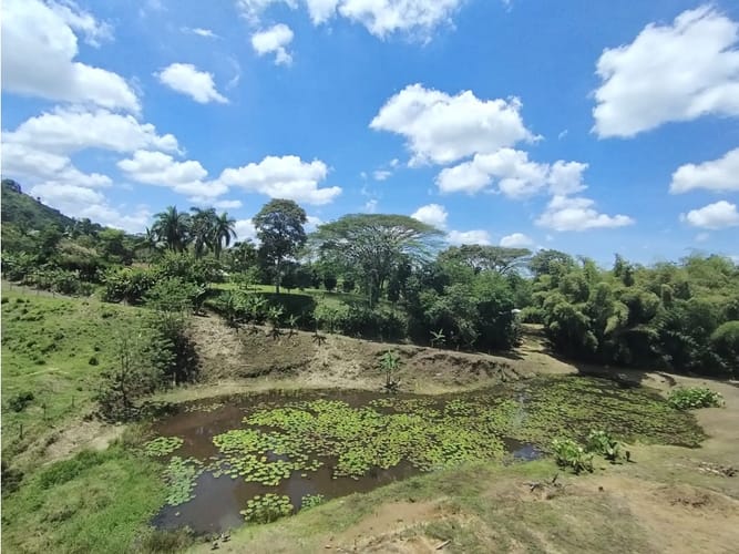 Lote en venta en Combia, Pereira, 1130 m² · foto 7 de 10