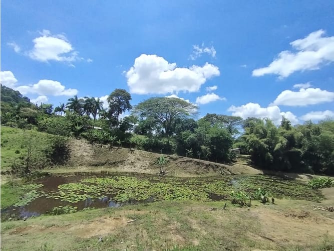 Lote en venta en Combia, Pereira, 1130 m² · foto 8 de 10