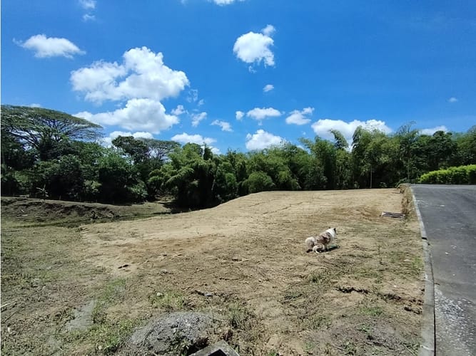 Lote en venta en Combia, Pereira, 1130 m² · foto 9 de 10