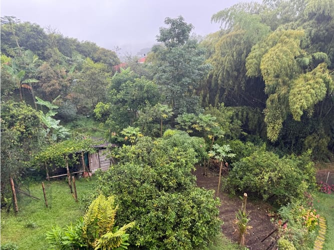 Finca en venta en Altagracia, Pereira, 9600 m² · foto 13 de 24