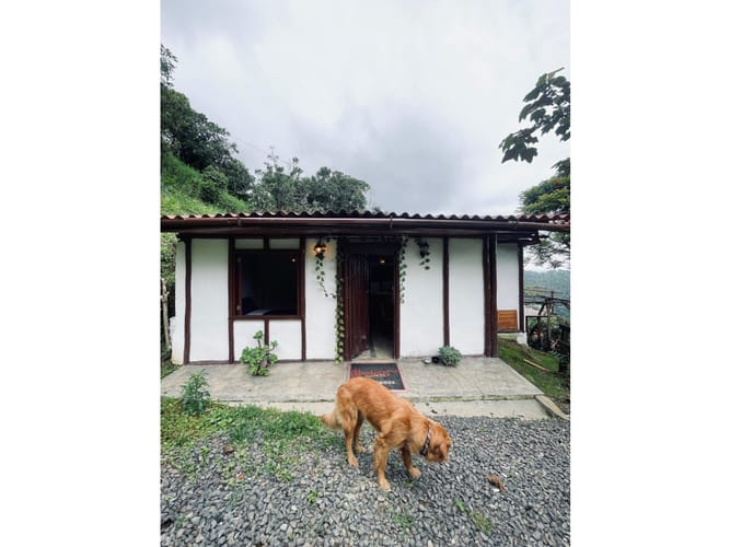 Finca en venta en Tribunas Corcega, Pereira, 300 m² · foto 12 de 13