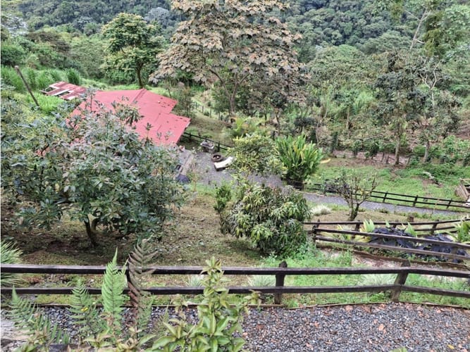 Finca en venta en Tribunas Corcega, Pereira, 300 m² · foto 13 de 13
