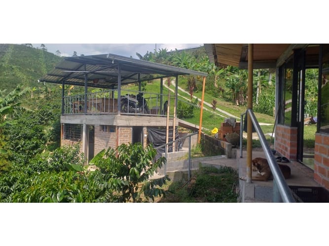 Finca en venta en Combia Baja, Pereira, 22400 m² · foto 5 de 17