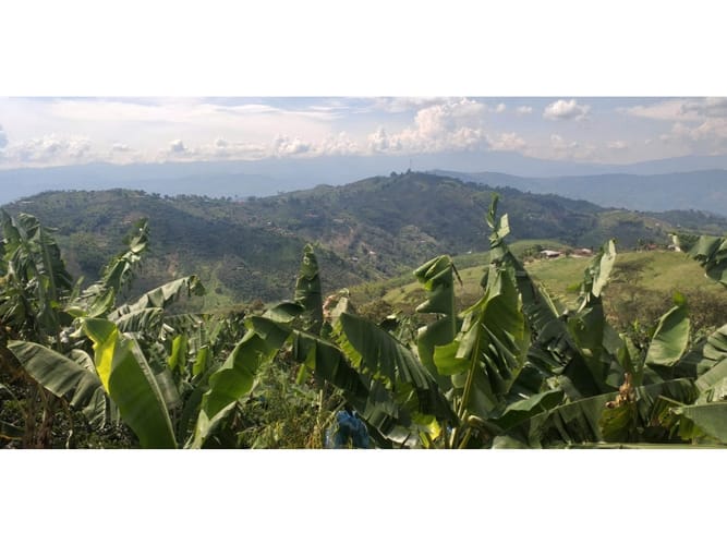 Finca en venta en Combia Baja, Pereira, 22400 m² · foto 7 de 17