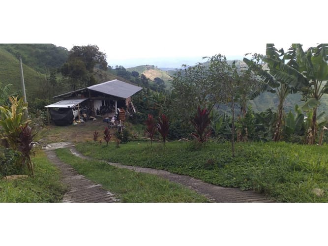 Finca en venta en Combia Baja, Pereira, 22400 m² · foto 9 de 17