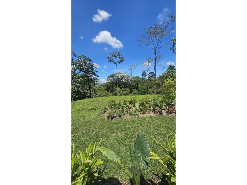 Casa en venta en Tribunas Corcega, Pereira · foto 17 de 17