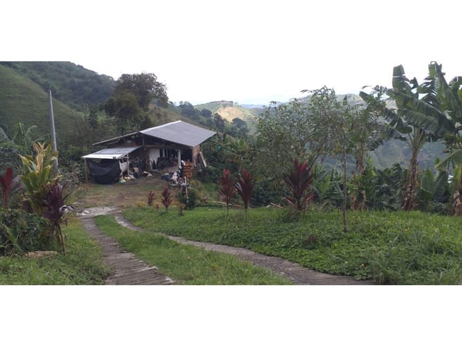 Finca en venta en Combia Baja, Pereira, 22400 m² · foto 12 de 17