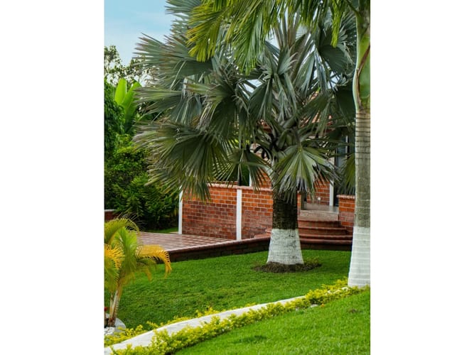 Finca en venta en Altagracia, Pereira, 19200 m² · foto 22 de 24