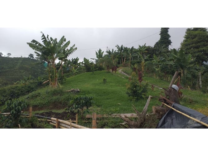 Finca en venta en Combia Baja, Pereira, 22400 m² · foto 16 de 17