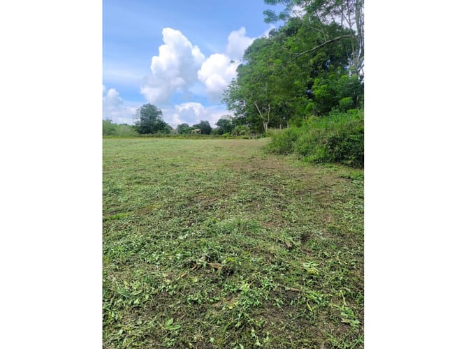 Lote en venta en Cerritos, Pereira, 7200 m² · foto 2 de 7